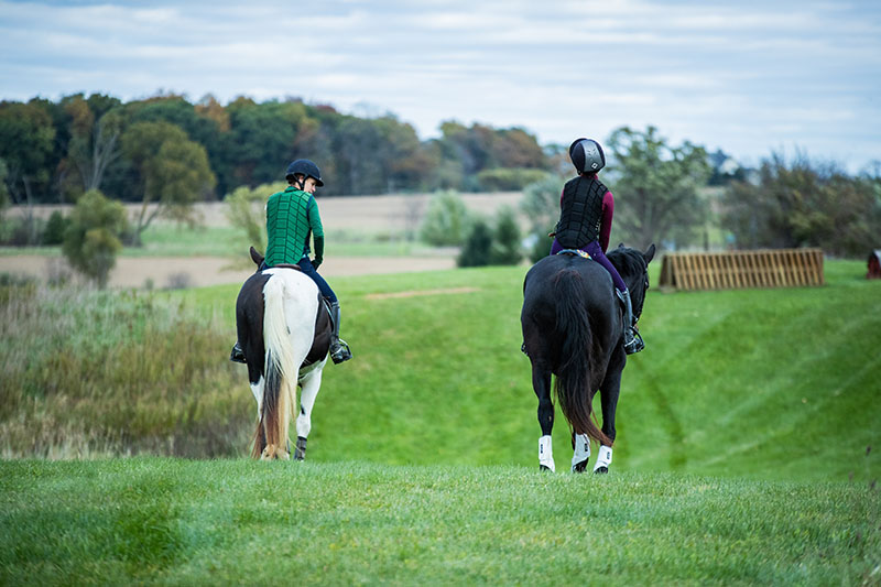 Starting a Horse Farm? Loan Options With United Ag Lending