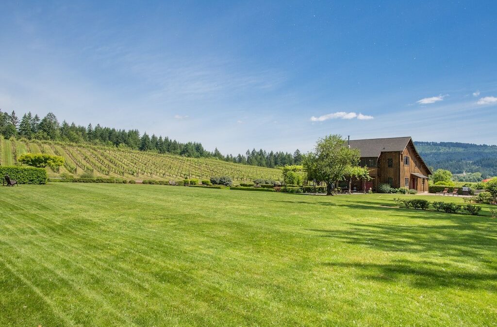 Everything You Need To Know About Vineyard Financing