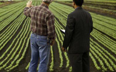 Your Wholesale Ag Lending Partner | United Ag Lending