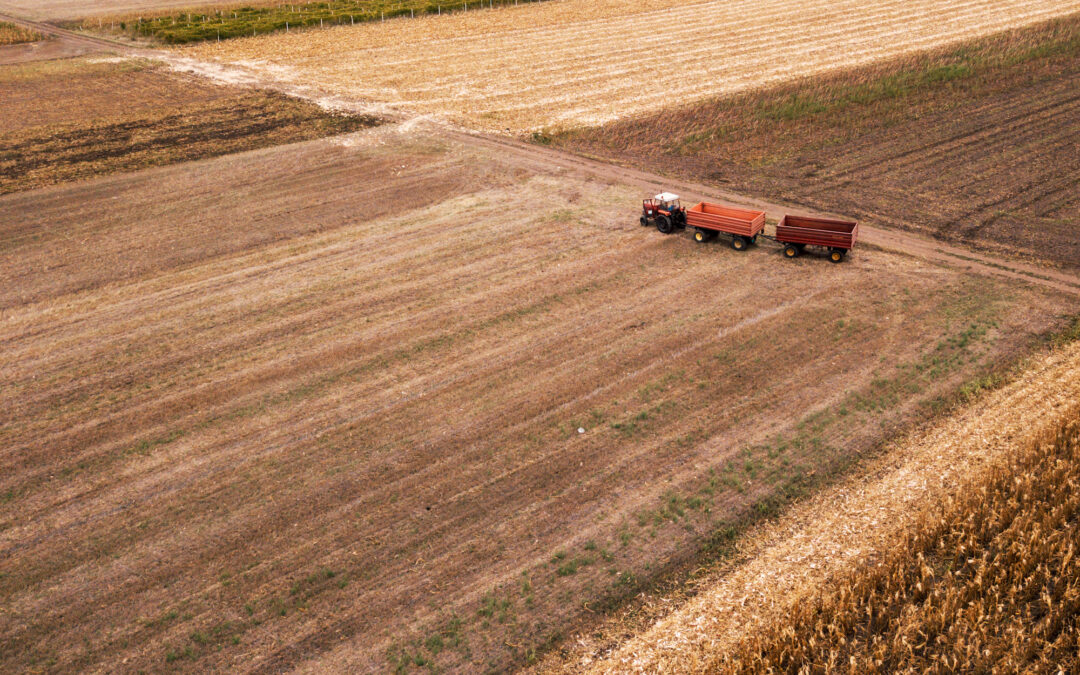 Residential vs. Commercial Farms: Why the Difference Matters