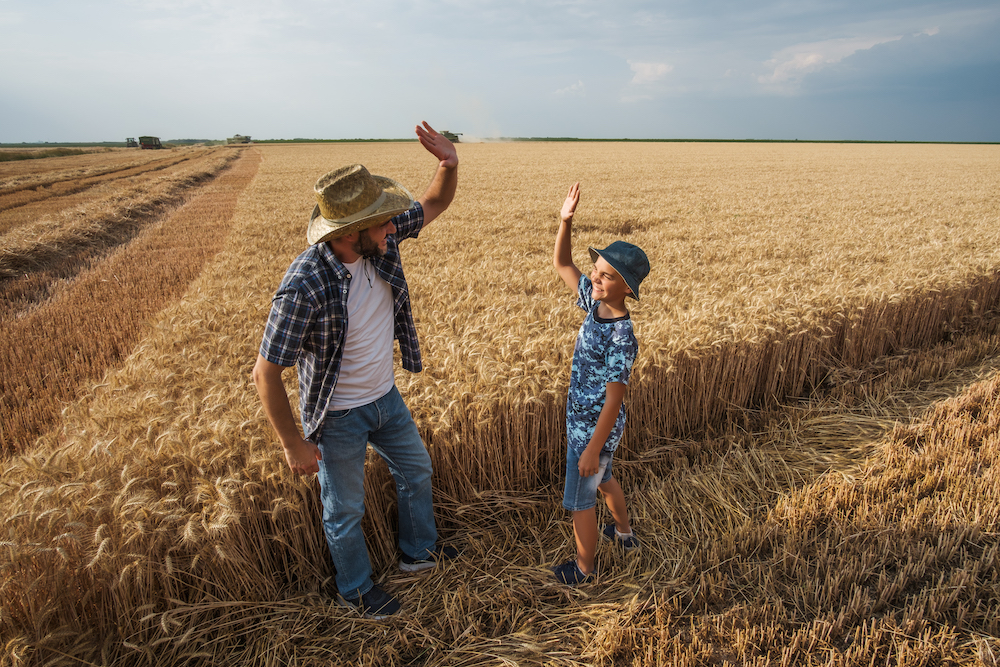 father son farmers high fiving in wheat field