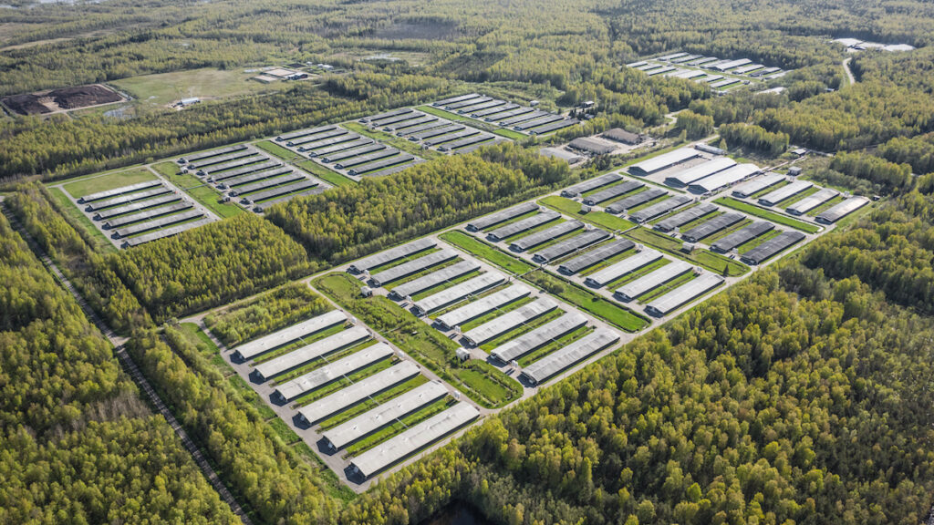 aerial view of a poultry farm