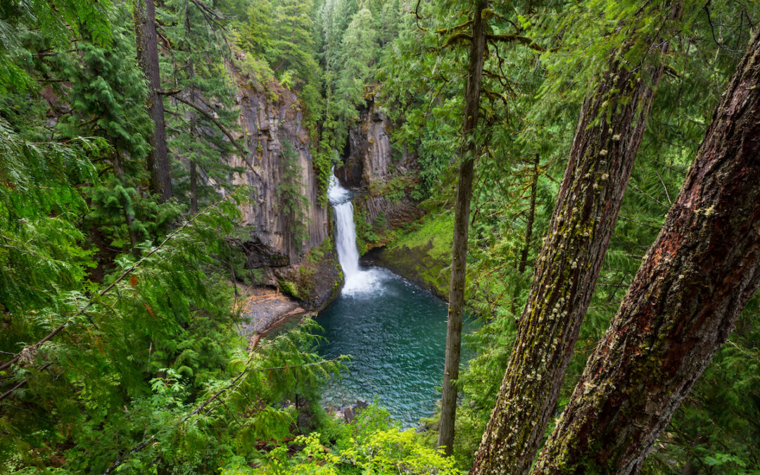 Beautiful waterfall in green forest, Oregon, USA.