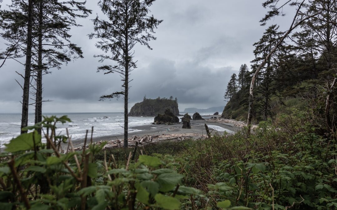 Pacific northwest beach in Washington State