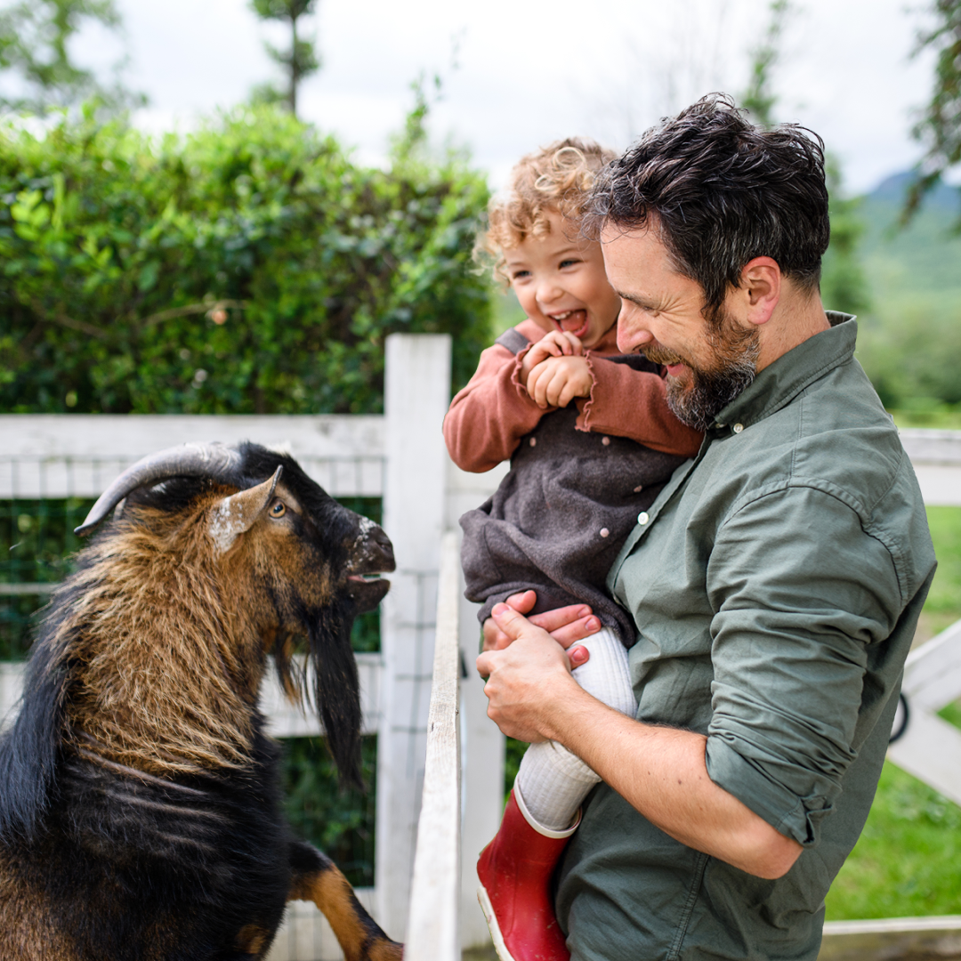 Man Holding a Child While Both of Them Smile at a Goat