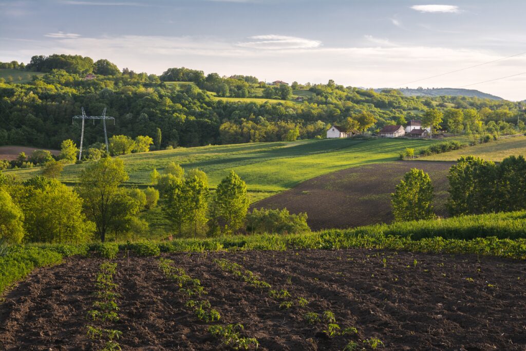 Landscape View of Hobby Farm's Green Field With Bushes, Trees, and Small Houses