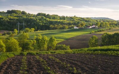 Obtain a Hobby Farm Loan in California: The #1 Farming State 