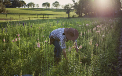 Your Solution to a Rural Home Loan in Florida with United Ag Lending