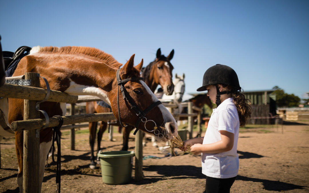 Equestrian Farm Loans 101