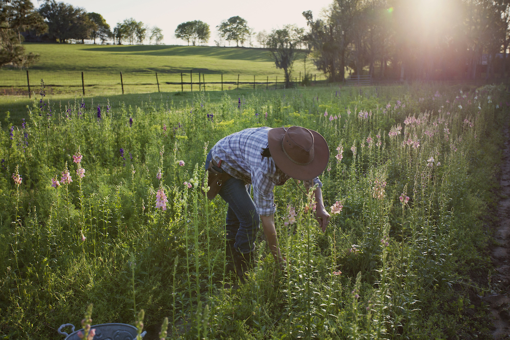 A woman picks flowers in her pasture funded with the help of wholesale agricultural lending partners.
