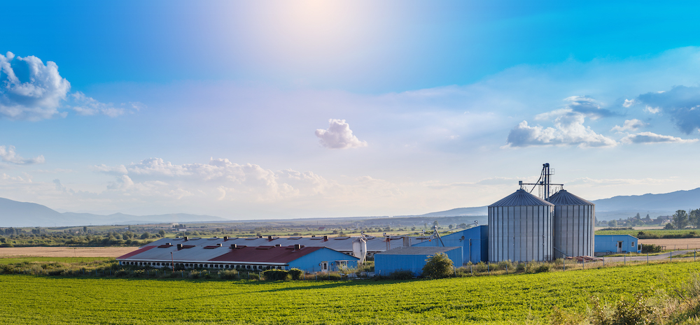 Landscape Image of a Pig Farm With Buildings