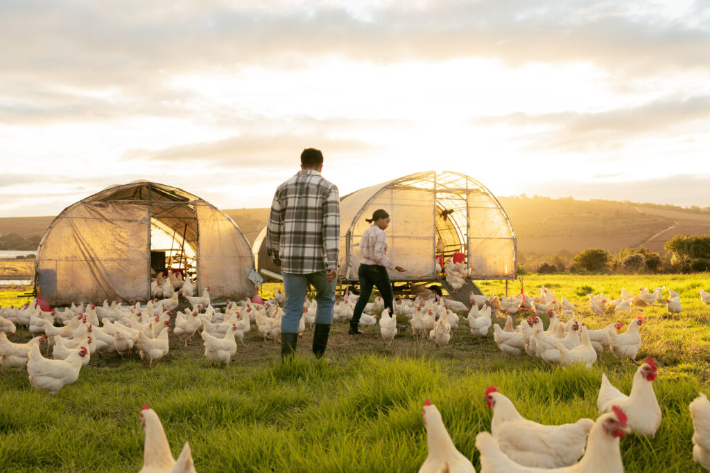 A broker's wholesale hobby farm lender customer on their hobby farm.